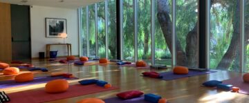 Mit Vinyasa-Yoga zu innerer Ruhe & Kraft